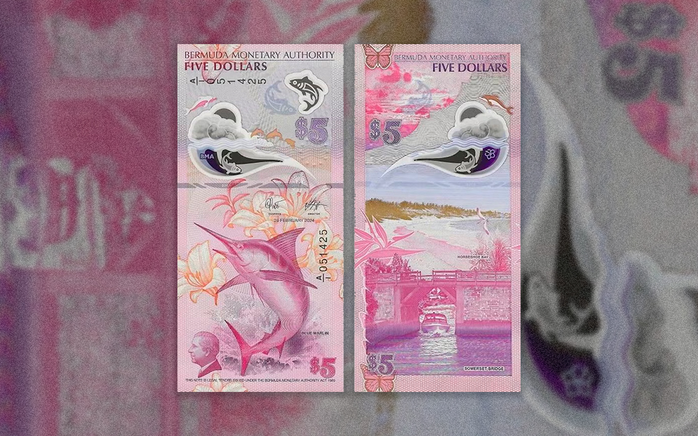 Cédula de 5 dólares das Bermudas é eleita a mais bonita do mundo em 2024