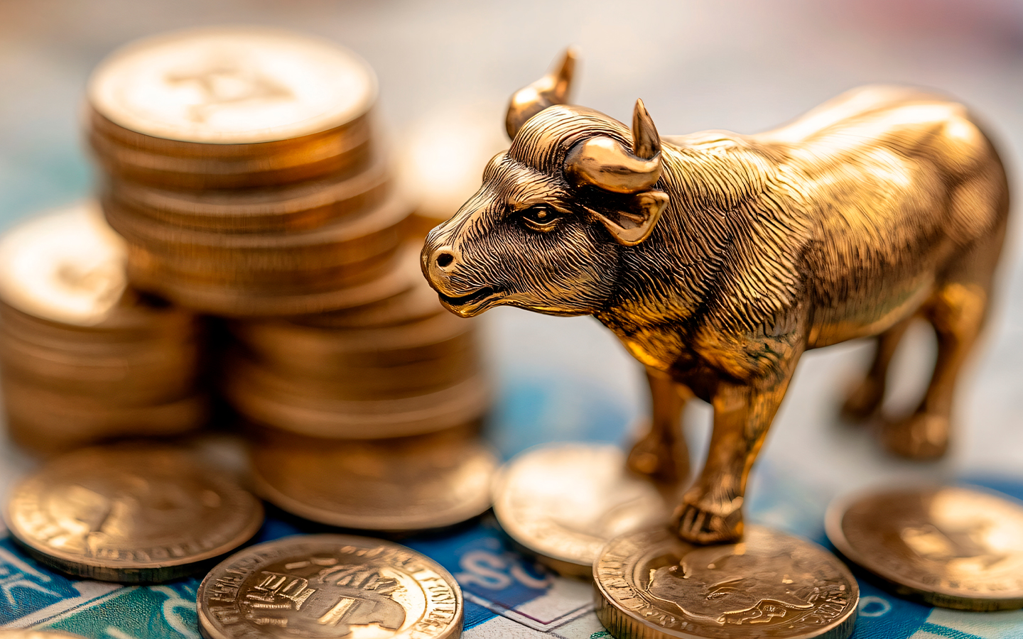 De onde vem o dinheiro? Da troca de gado às moedas digitais