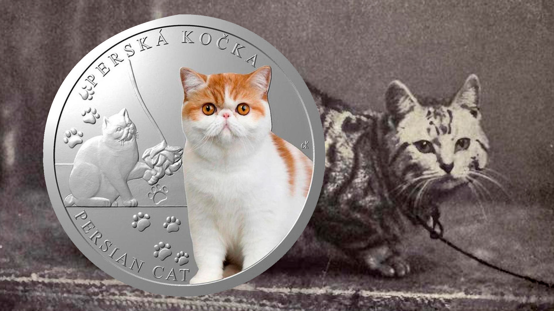 Dia do Gato: Moedas Comemorativas Celebram os Felinos e Viram Itens de Coleção