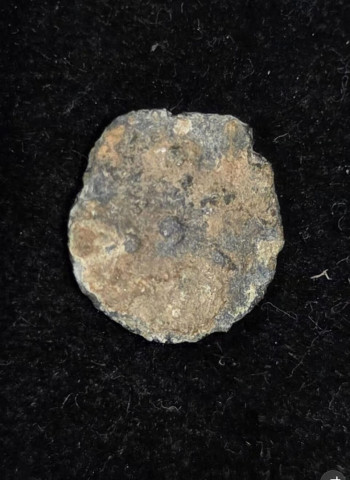 Turista dos EUA encontra moeda rara da época do Segundo Templo em Shiló