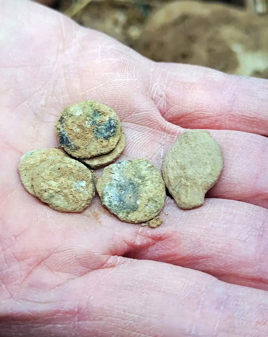 Coleção de Moedas de 2 Mil Anos é Encontrada no Vale do Jordão (onde atualmente é israel) e É Descrita Como "Milagre Arqueológico de Hanukkah"