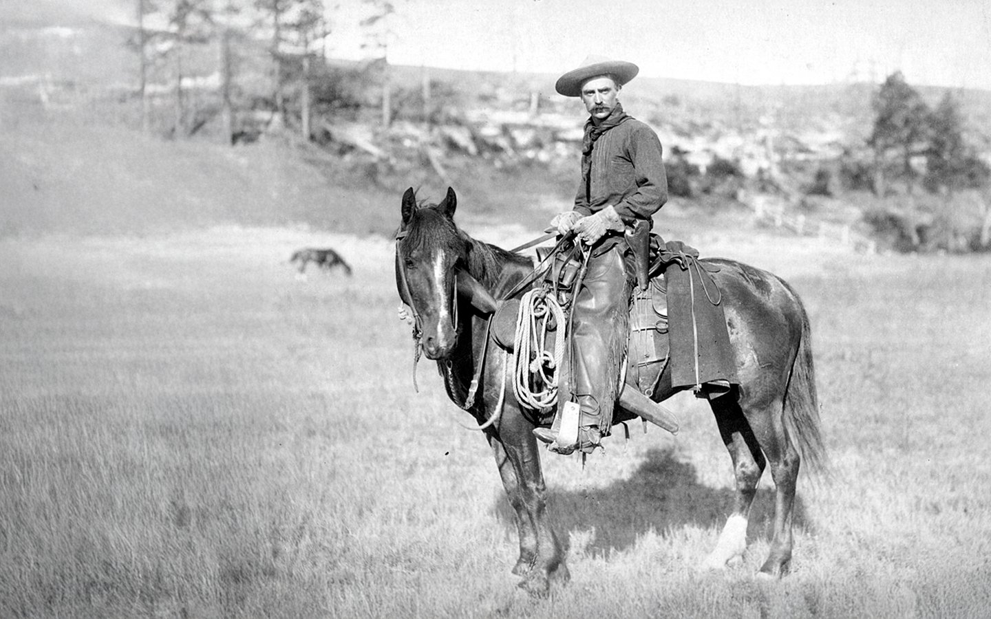 Oeste Sem Lei, Dinheiro Sem Padrão: As Moedas que Moviam a Fronteira Americana