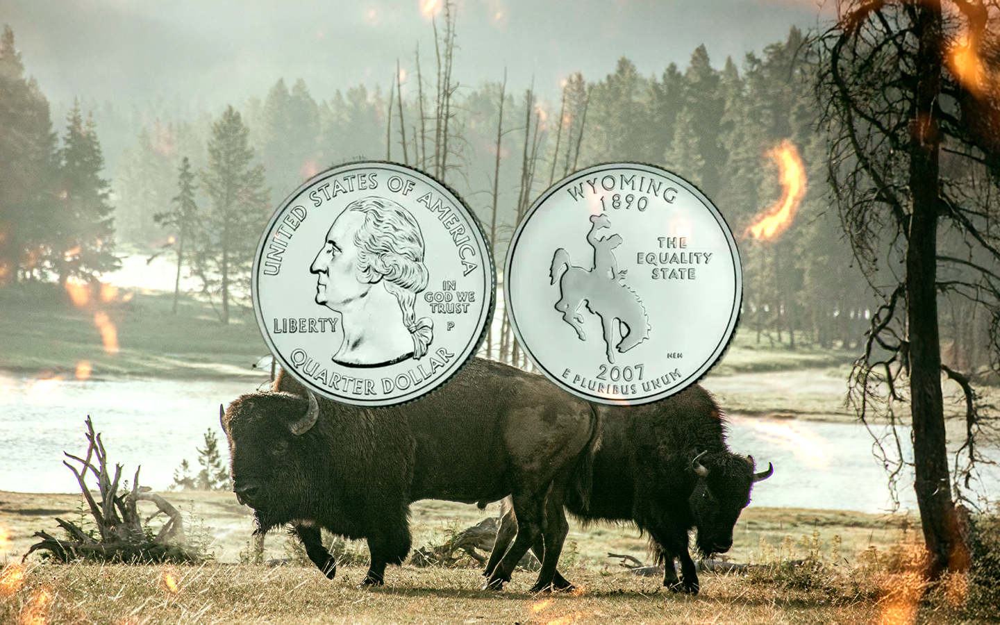 A Moeda Comemorativa de Yellowstone: Um Símbolo Natural e Cultural dos EUA