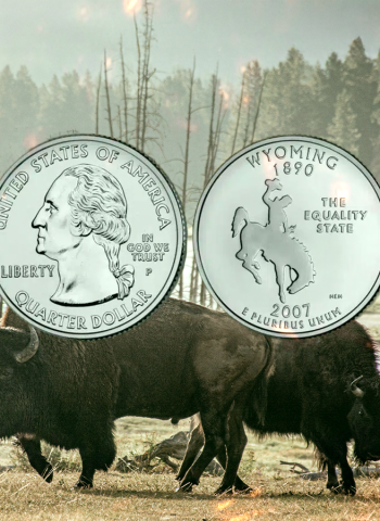 A Moeda Comemorativa de Yellowstone: Um Símbolo Natural e Cultural dos EUA