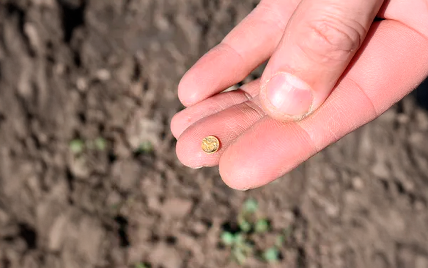 Ouro celta e joias raras revelam centro comercial de 2 mil anos na República Tcheca