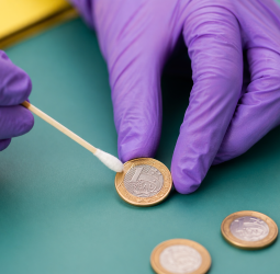 O que é numismática? Significado, exemplos e importância