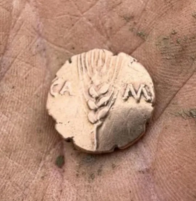 Ator inglês Charlie Cooper ajuda amigo a encontrar moeda de ouro de 2 mil anos