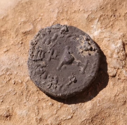 Moeda rara de meio shekel é encontrada no Deserto da Judeia